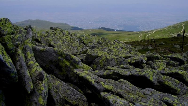 Тома Белев видя "странни неща" в Плана за управление на Природен парк "Витоша"